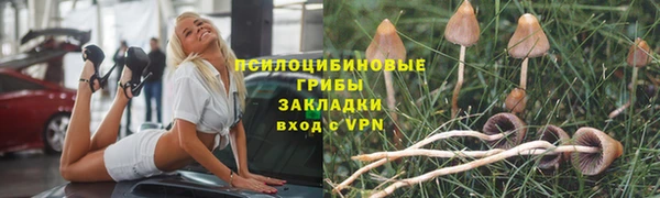 дмт Алексин